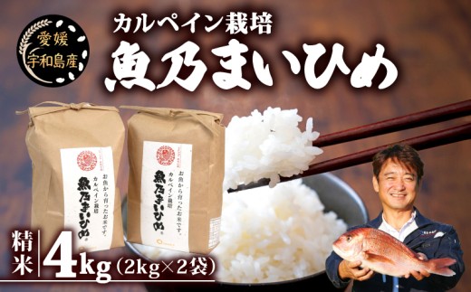 令和7年産 コシヒカリ 魚乃まいひめ カルペイン栽培 4kg (2kg×2袋) 精米 秀長水産 三間米 お米 米 環境保全 カルペイン 鯛 真鯛 こめ コメ kome 小分け お弁当 弁当 ツヤツヤ 美味しい 産地直送 数量限定 国産 愛媛 宇和島 G013-016009