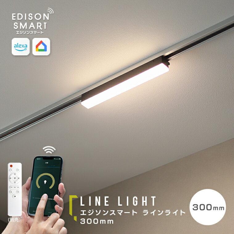 【ふるさと納税】エジソンスマート ラインライト 300mm for ダクトレール ブラック 福岡市