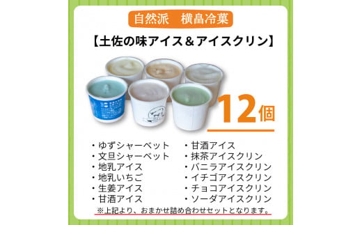 高知 名物 アイスクリン ふるさとの味アイス 12個セット ( ゆず 文旦 甘酒 ミルク いちごミルク 生姜 バニラ 抹茶 いちご チョコ ソーダ 人気 カップ スイーツ バラエティ おやつ 詰め合わ