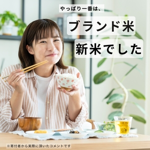【定期便３回】令和7年産  新米 こしひかり 15kg （白米） 宮崎県産 | 米 こめ お米 おこめ 精米 白米 コシヒカリ 宮崎県 五ヶ瀬町
