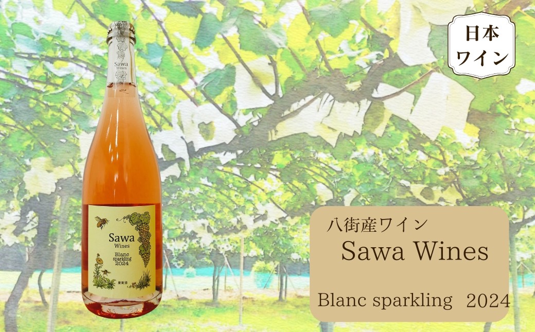 
                  八街産ワイン ブラン スパークリング 2024 白ワイン 国産ワイン 日本ワイン Blanc 千葉県 ワイナリー Sawa Wines
                