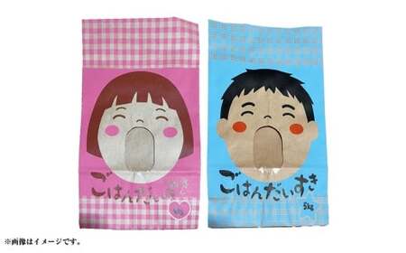 【10営業日発送】【令和7年産】静岡県産コシヒカリ 精米 10kg （5kg×2袋） 【2026年8月下旬迄順次発送予定】 コシヒカリ こしひかり 白米 米 コメ こめ ご飯 ごはん 新米 菊川市 静