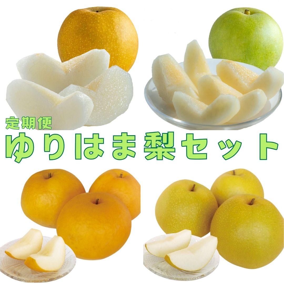 【ふるさと納税】梨 なし 定期便 4回 5kg 計 20kg 東郷 15M | 二十世紀梨 二十世紀 新甘泉 しんかんせん 新興 しんこう 王秋 おうしゅう 鳥取県 湯梨浜町 果物 フルーツ 特産品 先行予約 鳥取県産 JA 東郷梨選果場 新鮮 人気 おすすめ 送料無料