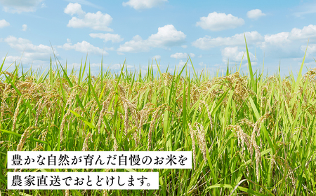 【5月発送】まっしぐら10kg(玄米)【株式会社 tawwel】