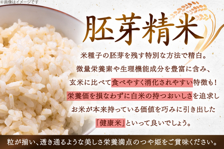 米 令和7年度 特別栽培米 つや姫 胚芽精米 5分搗き米 5kg [上和田有機米生産組合 山形県 高畠町 tk06ays640014] お米 ブランド米 ごはん ご飯 おこめ 5キロ つやひめ 令和7