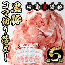 【ふるさと納税】鹿児島県産黒豚 桜島美湯豚 コマ切り落とし 計5kg (500g×10パック) 豚肉 豚 肉 コマ切れ 豚コマ 切落し 切り落とし 小分け 真空 真空パック 炒め物 カレー 肉じゃが 国産 鹿児島産 冷凍 【大隅ミート産業】B2-0405