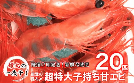 【 姫丸 の 子持ち 甘エビ 超特大 ・ 20匹 丸ごと 昆布〆 】 2026年 1月 - 6月 発送