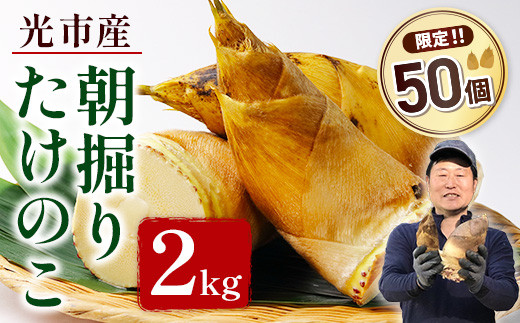 YA01 光市産朝掘りたけのこ 2kg 山口県光市産 たけのこ 筍 タケノコ 国産 野菜 旬 新鮮 採りたて 煮物 味噌汁 炊き込みご飯