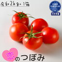 【ふるさと納税】トマト 恋のつぼみ 2kg 茨城県共通返礼品・行方市産 送料無料