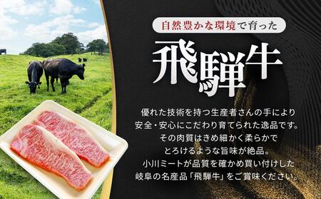 飛騨牛 A5 サーロイン ステーキ用 400ｇ（200g×2枚）｜国産 肉 牛肉 焼肉 ステーキ 和牛 黒毛和牛 グルメ  A5等級 おすすめ AD107【飛騨牛 和牛ブランド 飛騨牛 黒毛和牛 飛騨