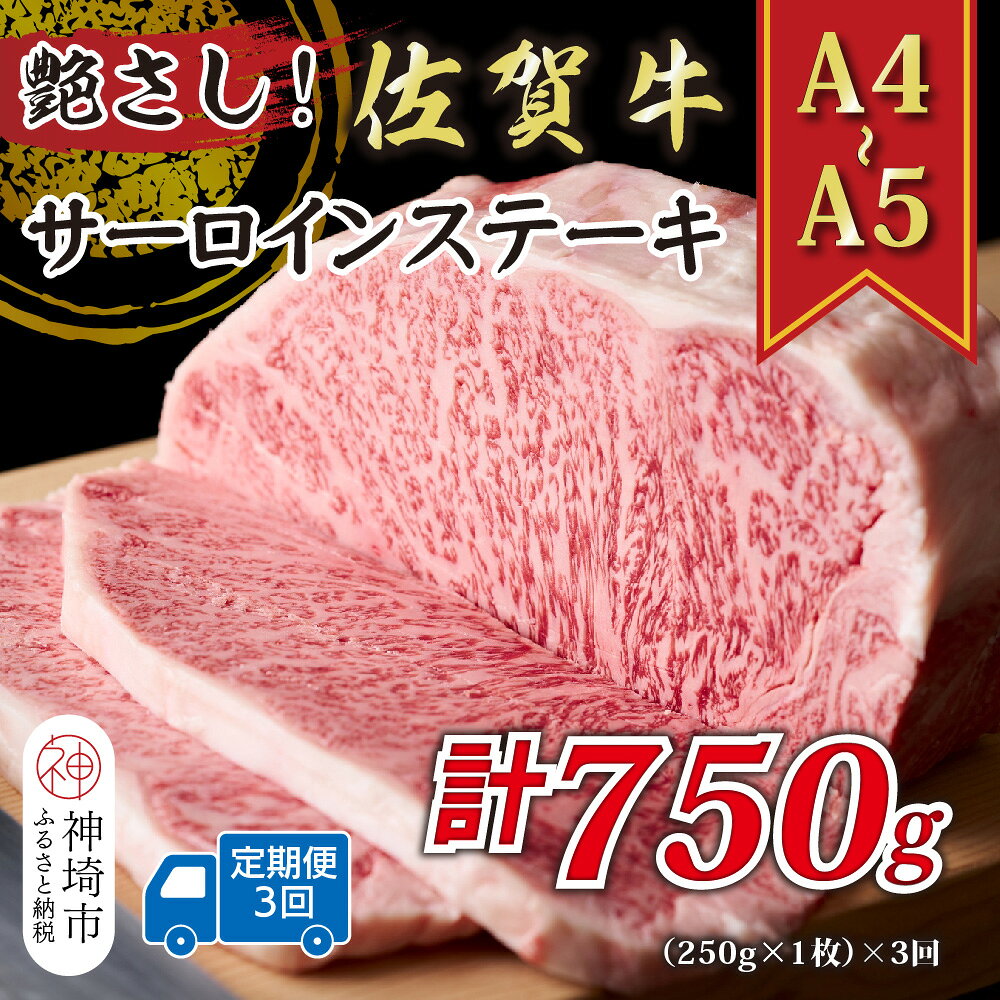 【ふるさと納税】【3か月定期便】艶さし！【A4〜A5】佐賀牛サーロインステーキ 250g(250g×1枚)×3回【肉 牛肉 ブランド牛 黒毛和牛 ステーキ肉 ふるさと納税】(H112190)