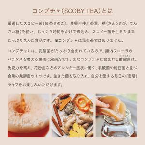 【先行予約2025年6月発送】SCOBY TEA 『HINOKI inspiration』750mL x 1本《株式会社ニフ》