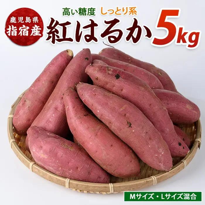 さつまいも 紅はるか 5kg サツマイモ IB084-010