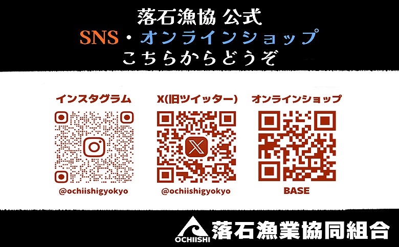 【北海道根室産】ボイル水たこ足ブロック500g、スライス150g A-20010