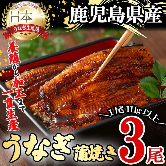 桜林養鰻のうなぎ蒲焼 計333g以上(111g以上×3尾) 鰻 うなぎ ウナギ うなぎ  蒲焼き かばやき 国産 九州産 鹿児島県産 冷凍 真空パック 簡単 うな丼 うな重 ひつまぶし 惣菜 おかず b0-175