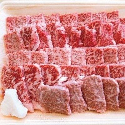 ふるさと納税 四万十市 四万十牛のバーベキューセット1kg(精肉のみ)5人前【野菜は含まれません】R5-720 |  | 02