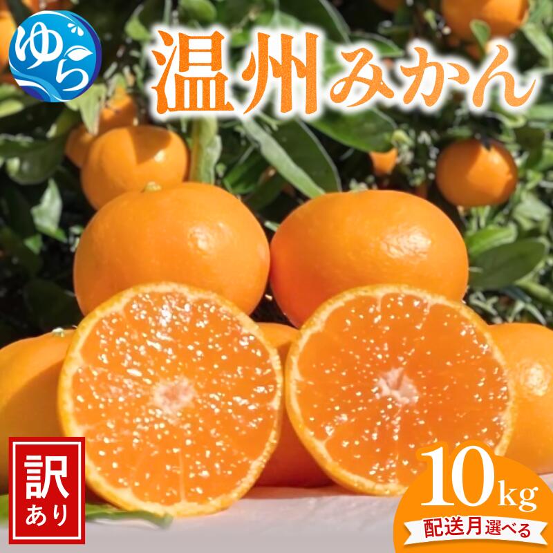 【ふるさと納税】先行予約 ≪訳あり≫ 温州みかん 10kg 【配送月選べる】/ みかん ミカン 和歌山県 柑橘 甘い 蜜柑 フルーツ 果物 くだもの 食品 産地直送 由良町 ご家庭用 温州 温州ミカン わけあり 訳アリ