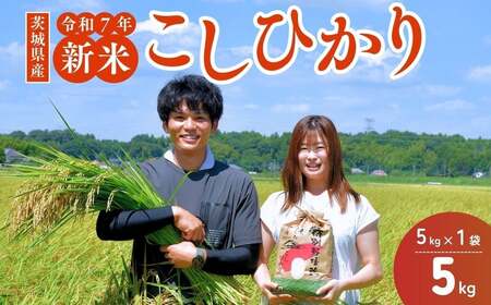 令和7年産新米 こだわりのコシヒカリ 5kg | コシヒカリ 精米 茨城県 龍ケ崎市