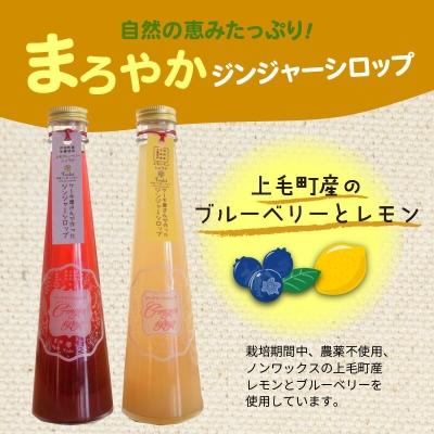 ふるさと納税 上毛町 【上毛町産ブルーベリー・レモン使用】ジンジャーシロップ2種とレモンジャム・レモンカートのセット |  | 01
