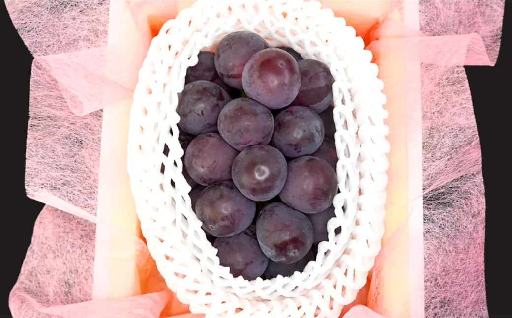 NEWS PAPER BAG（Hickory）＋家庭ピオーネ 2房（1房約530g以上）