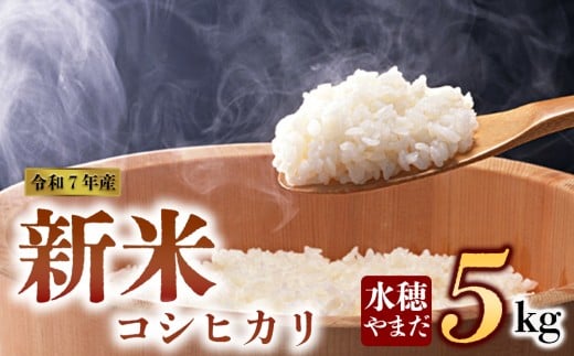 【予約】　新米 令和7年産　コシヒカリ 5kg　水穂やまだ　グランプリ獲得 お米 米 人気 美味しい 弾力 粘り 食感 湧水 熊本 阿蘇