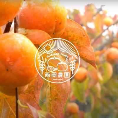 ふるさと納税 五條市 【令和7年分　先行予約】たねなし柿　家庭用　約7kg(24〜30個入) |  | 03