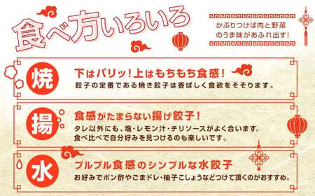 たかなべ ギョーザ 餃子 国産 肉 小分け 惣菜 人気30個