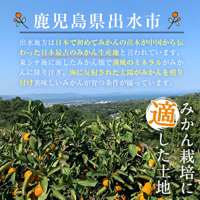 i687 ＜2024年11月下旬～2025年1月下旬の間に発送予定＞【特別栽培・最高金賞】温州みかん日本一！濃甘あめ玉みかん(約3kg・1箱＋傷み保障約200g(3～4玉)【Farmer friend