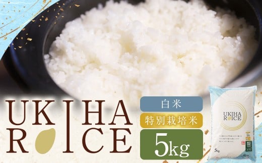UKIHA RICE 白米 5kg （特別栽培米） 【2025年11月上旬から2026年3月下旬発送予定】 ヒノヒカリ ひのひかり 精米 米 こめ コメ お米 おこめ 白米 精米 ごはん ご飯 お中元 お歳暮 ギフト プレゼント 贈答品 おすすめ 国産