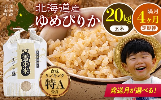 
                  令和8年産【定期便隔月4ヶ月】  特Aランク米 ゆめぴりか 玄米  20kg（5kg×4袋）【発送月が選べる】雪冷気 籾貯蔵 雪中米 北海道 nr-2018var
                