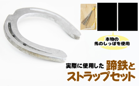 蹄鉄 （ 鉄製 シルバー ）& 馬のしっぽの毛 ストラップ （ 芦毛 ） 【馬っこパーク・いわて】／ てい鉄 さび止め 錆止め サビ止め 銀 銀色 鉄 加工 馬毛 尻尾 幸運 開運 厄除け 魔除け アイテム 本物 インテリア アクセサリー おすすめ