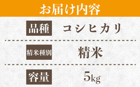 コシヒカリ 5kg 令和7年産 コシヒカリ