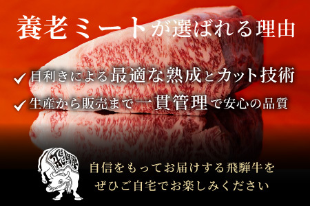 最高5等級 飛騨牛 厚切りロースステーキ 300g 300g×1枚 牛肉 和牛 肉 ロース ステーキ 東白川村 岐阜 贅沢 霜降り A5 5等級 厚切り 養老ミート