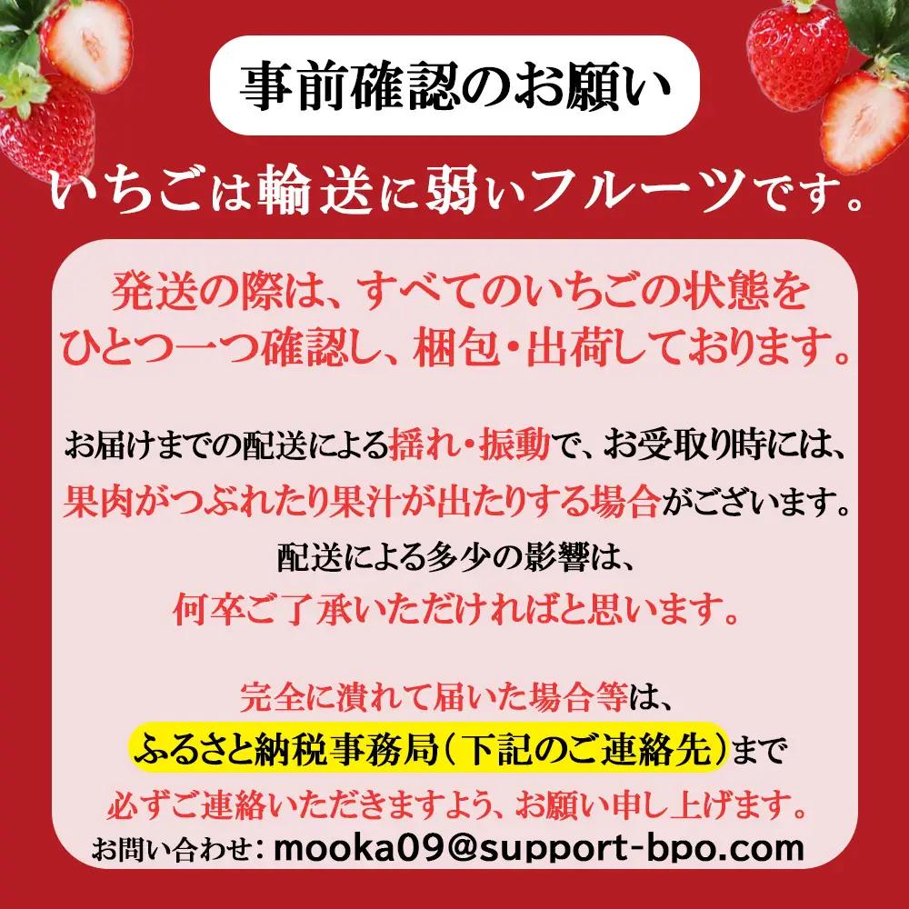 【2026年12月より発送】【先行予約】とちひめ DX 1箱(2パック) | いちご とちひめ