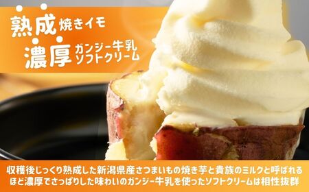 r05-010-005 焼きイモソフトクリーム4個とさつまいもスィーツセット