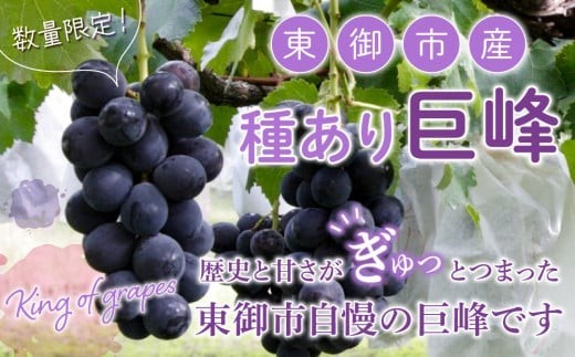 
                  【先行受付2026年発送】種あり巨峰約2kg（4～6房）｜JA信州うえだ東部地区営農課 長野 東御市※9月上旬～10月上旬頃お届け予定
                