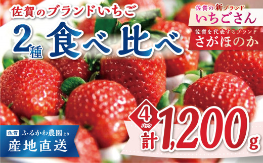 
【先行予約｜ふるかわ農園】佐賀県小城市産「いちごさん2箱&さがほのか2箱」計1,200g（300g×4箱）
