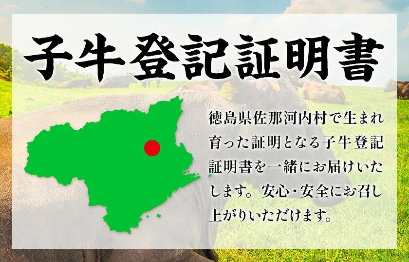 大川原高原牛 赤身モモしゃぶしゃぶ 500g | 牛肉