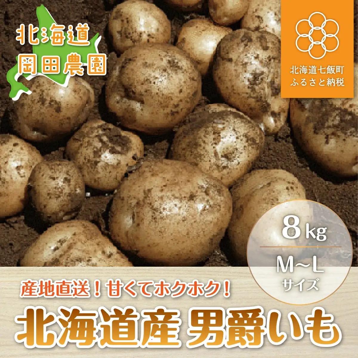 【先行予約 令和8年10月上旬発送】北海道産じゃがいも「男爵」8kg NAZ005