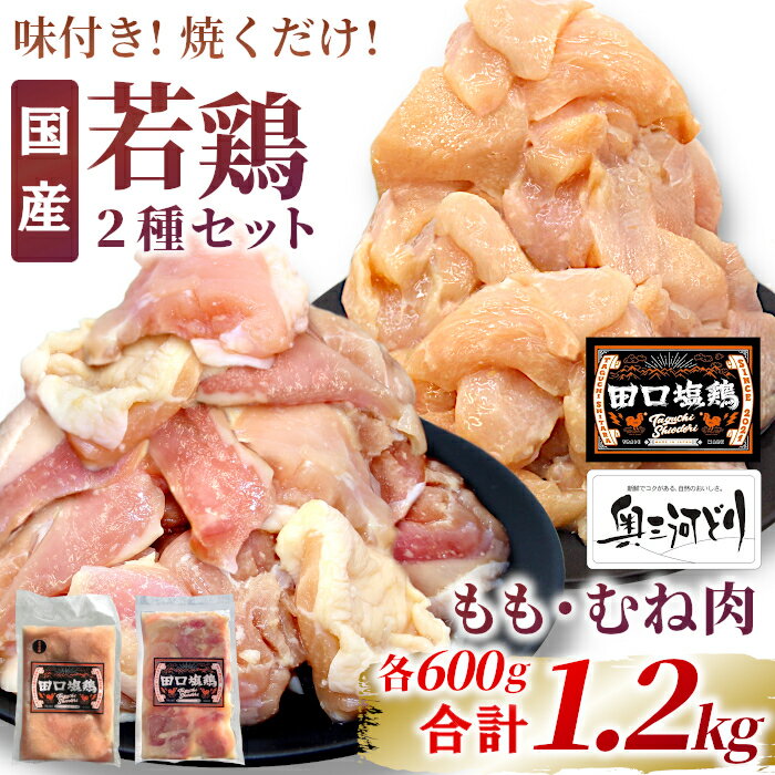 【ふるさと納税】奥三河どり使用！ 田口塩鶏 国産 若鶏味付け肉 2種セット 1.2kg（もも肉300g×2・むね肉300g×2）もも肉 むね肉 塩ダレ 味付け肉 鶏肉 鶏 肉 キャンプ バーベキュー 味付け肉 大容量 手軽 焼くだけ 地鶏 焼肉 焼き鳥 -170