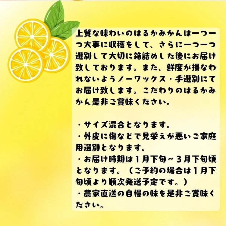  【先行予約】 【人気柑橘】 有田 育ちの はるか みかん（ 訳あり 家庭用 ） 1kg+200g(傷み補償分)  / 柑橘 果物 フルーツ 和歌山 ※2027年1月下旬～2月下旬に順次発送 ※北海道