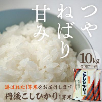 ふるさと納税 京丹後市 令和7年産　丹後こしひかり1等米10kg[5kg×2袋]