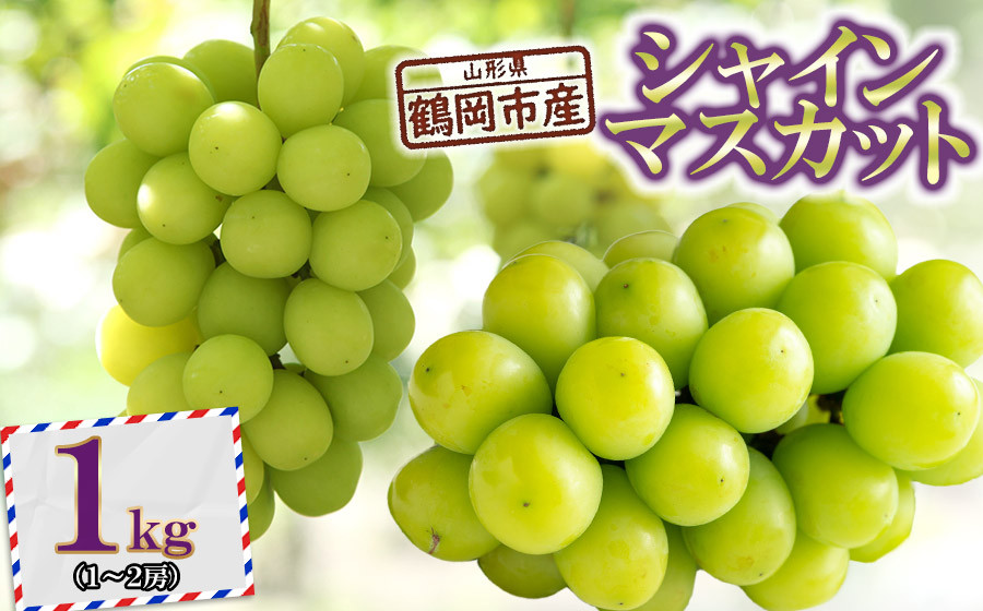 
【令和7年産先行予約】 鶴岡市産シャインマスカット 約1kg(1～2房) K-733 JA庄内たがわ　
