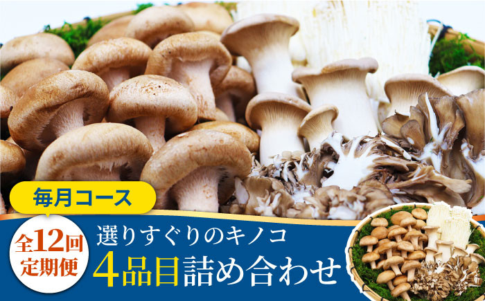 
                  きのこ【12回定期便】きのこ定期便 厳選セット 4品目「12回（毎月）」お届け  / セット キノコ 野菜 調理 きのこ 新鮮 産地直送 舞茸 炒め物 特選キノコ 詰め合わせ きのこ きのこセット kinoko  / 南島原市 / 吉岡青果 [SCZ015]
                