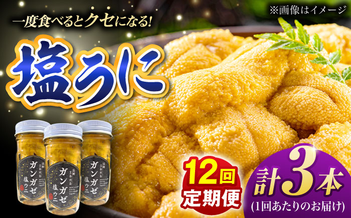 【全12回定期便】厄介うに ガンガゼ塩うに 70g×3本 / ウニ 雲丹 五島市 / うた丸 [PGA005]