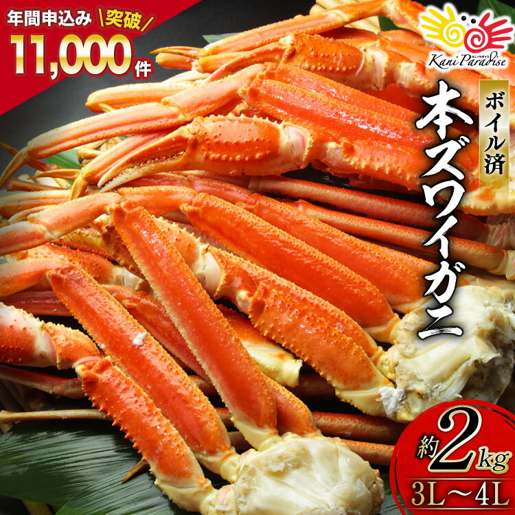 ボイル済み 本ずわいがに 脚 3L～4L 総重量2kg ( ズワイガニ ずわい蟹 ズワイ蟹 ずわい ズワイ 蟹 カニ カニ脚 蟹脚 )/ カネダイ / 宮城県 気仙沼市