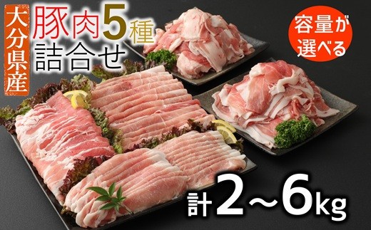 
                  【寄附額見直し】小分けされてるから便利♪大分県産 豚詰め合わせ５種（２～６ｋｇ）10,000円～30,000円
                