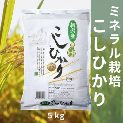 ふるさと納税 阿賀野市 【令和8年産新米先行受付】ミネラル栽培こしひかり 5kg
