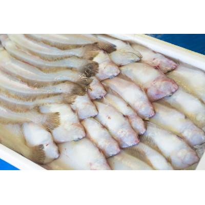 ふるさと納税 浜田市 【2025年3月下旬発送】大秀商店の「干し子持ち笹かれい(120g〜140g)」6尾入り |  | 02