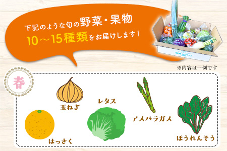 【6ヶ月定期便】 旬の野菜・果物詰合せ 10-15品目 野菜セット